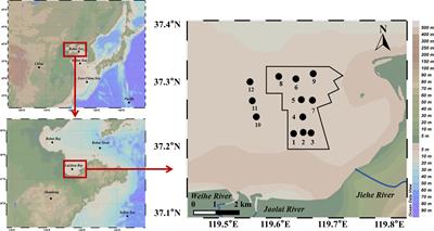 Integrated assessment of trace elements in a marine ranching area based on multi-species and multi-level biomarkers: a case study in China’s national-level marine ranching demonstration area